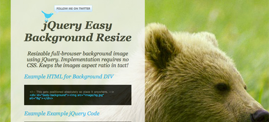 jQuery Easy Background Resize